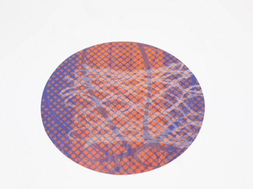 Lenticular Labels