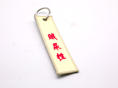 Keyring and Lanyard